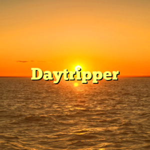 Daytripper